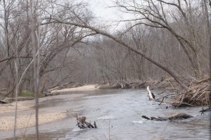 Little Patuxent River looking downstream