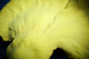 Underside